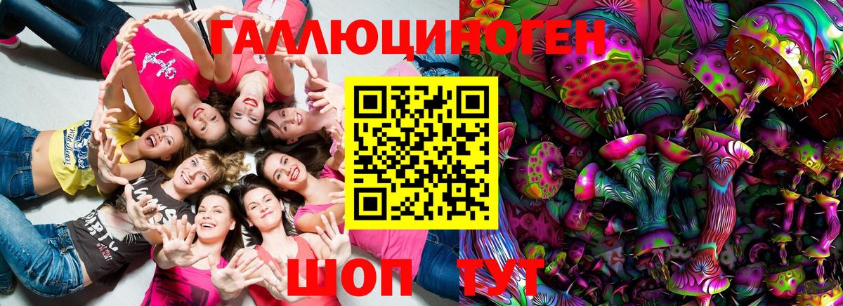 Псилоцибиновые грибы GOLDEN TEACHER Фрязино