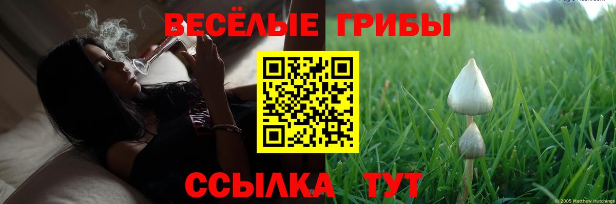наркотики  Фрязино  Галлюциногенные грибы Magic Shrooms  Псилоцибиновые грибы прущие грибы 