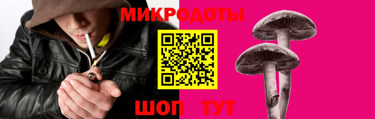 Фрязино  Галлюциногенные грибы Psilocybine cubensis  Вход с VPN 